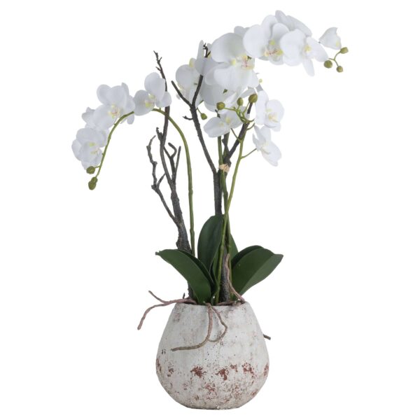 White Orchid In Stone Pot - Image 2